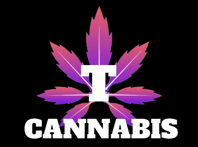 T Cannabis - Sioux Lookout store front