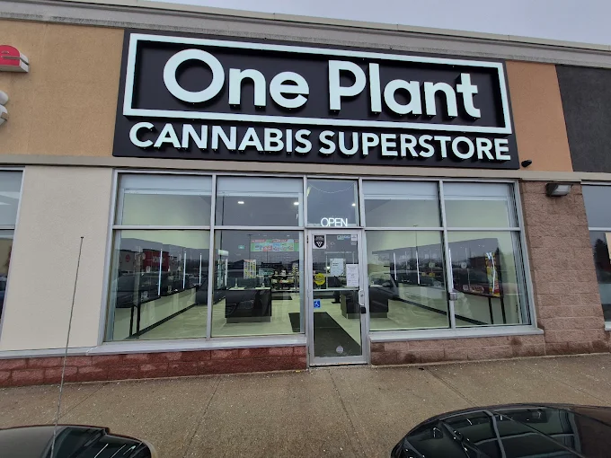 ONE PLANT CANNABIS SUPERSTORE store front
