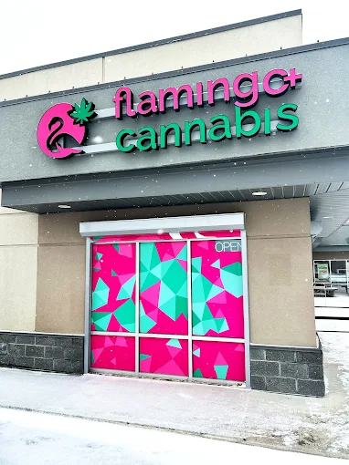 Flamingo+ Cannabis store front