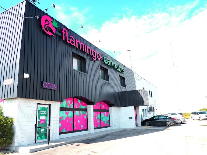 Flamingo + Cannabis & Vape Shop store front