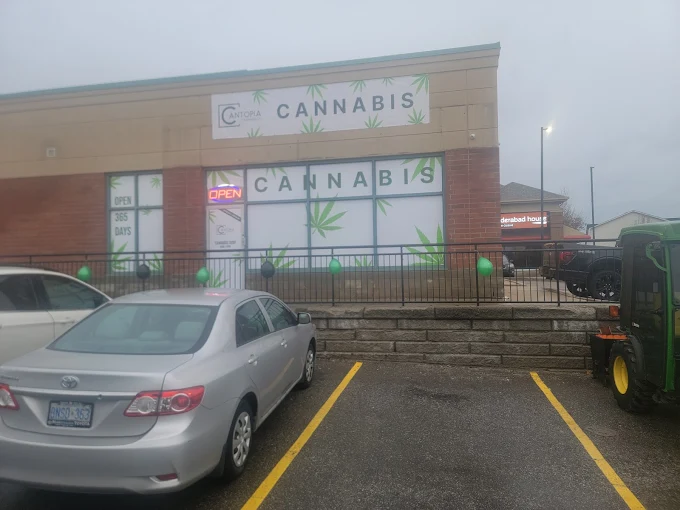 Cantopia Cannabis Co. store front