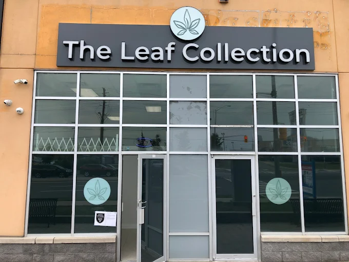 The Leaf Collection store front