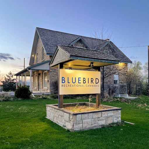 Bluebird store front