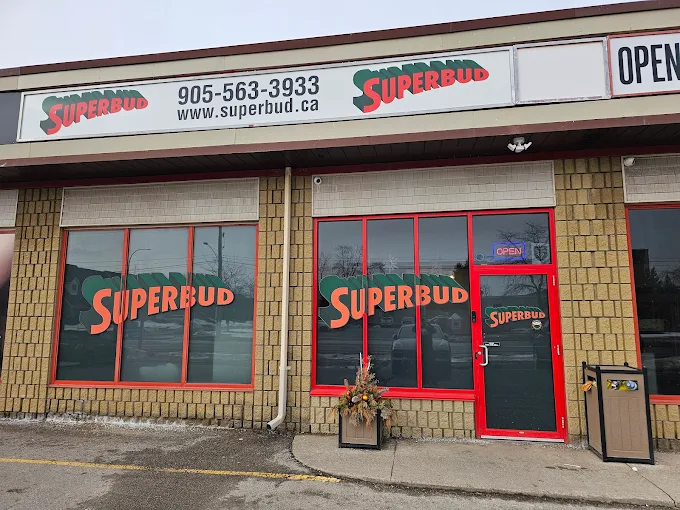 SUPERBUD store front