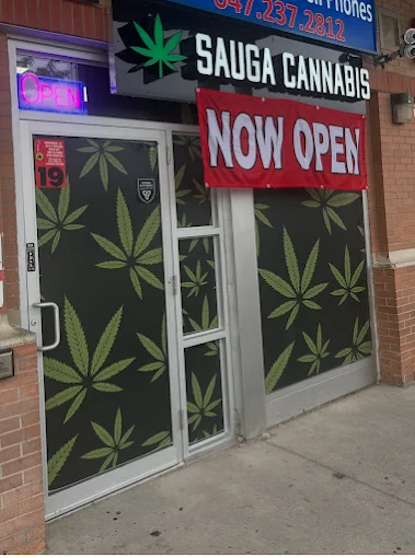 Sauga Cannabis store front