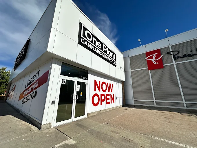 One Plant - Orillia store front