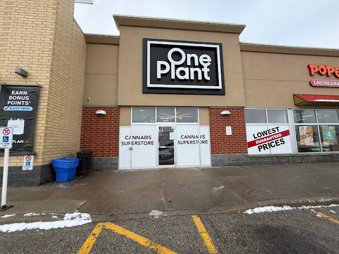 One Plant store front
