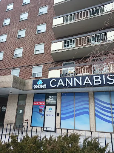 Odyssey Cannabis store front