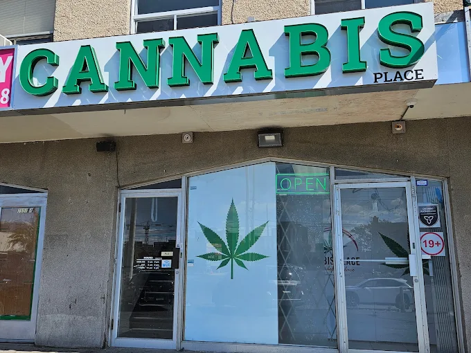 Cannabis Place store front