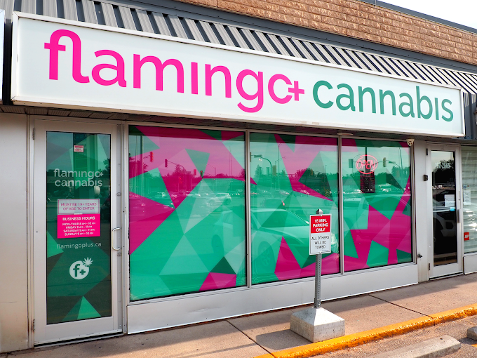 Flamingo+ Cannabis & Vape Shop| Portage | store front