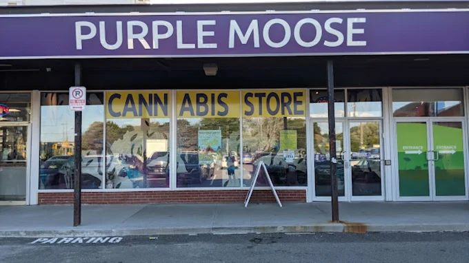 PURPLE MOOSE store front