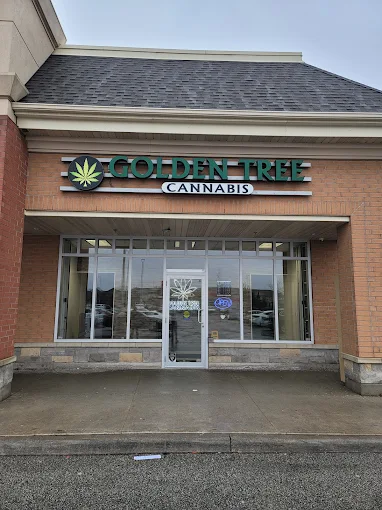 Golden Tree Cannabis store front
