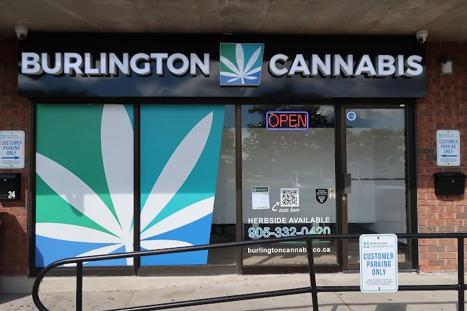 Burlington Cannabis Co store front