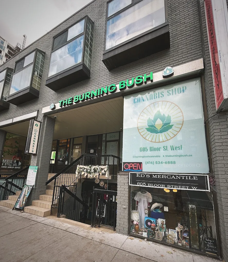 The Burning Bush store front