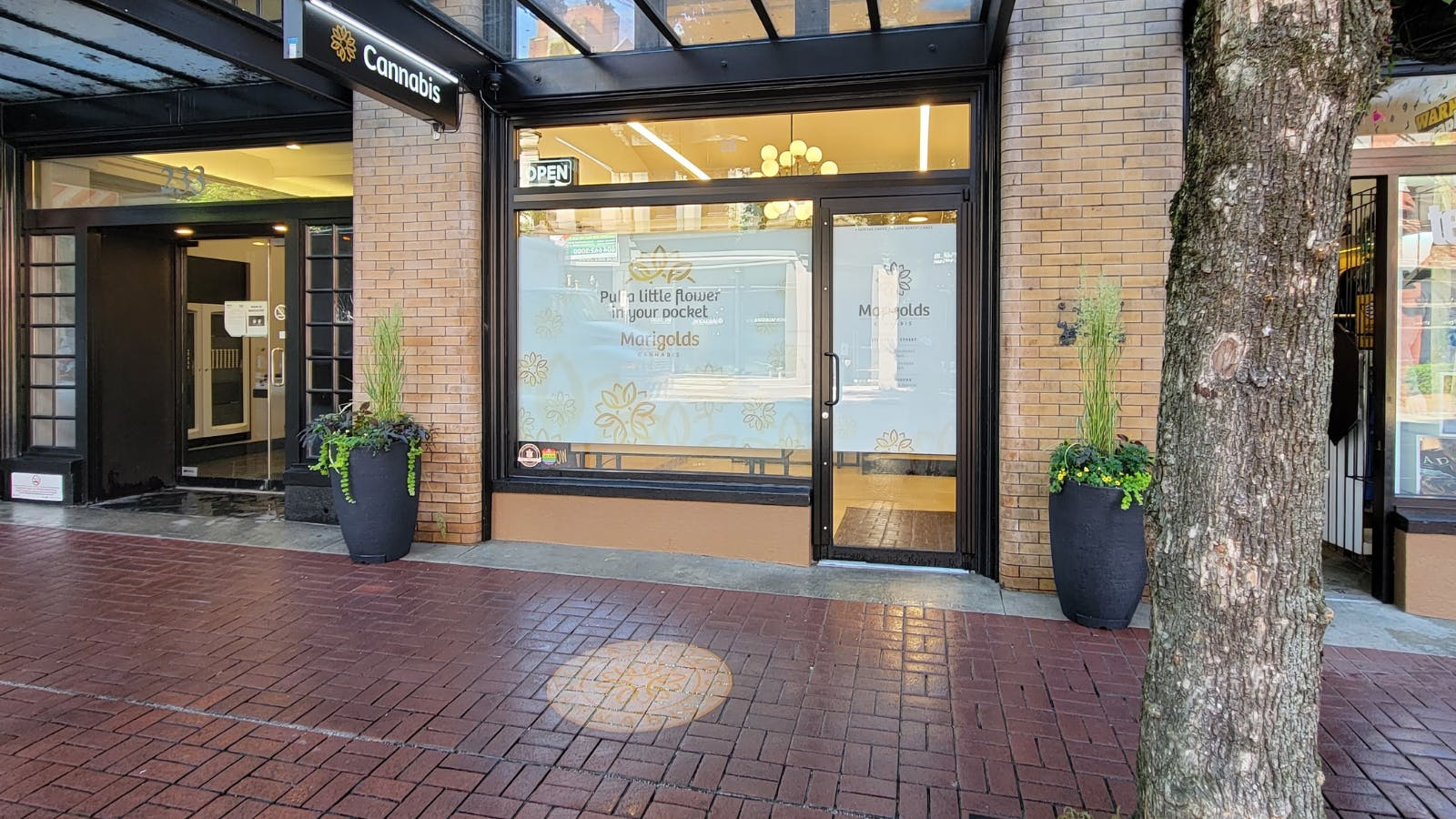 Marigolds - Davie St. store front