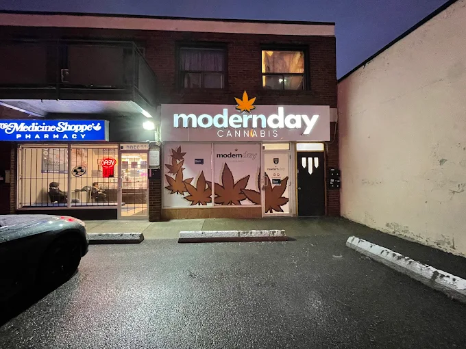 Modern Day Cannabis - Modern Day Cannabis - North York store front
