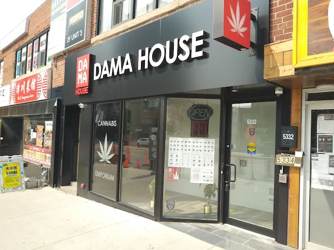 Dama House store front