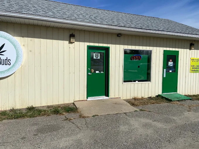 Ideal Buds store front