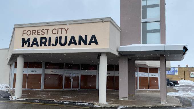 Forest City Marijuana store front