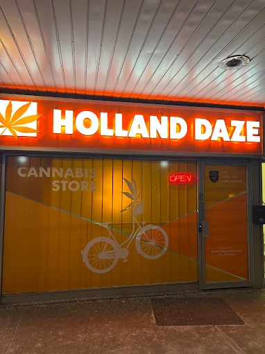 Holland Daze - Brimley store front