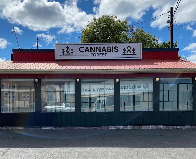 The Cannabis Forest store front
