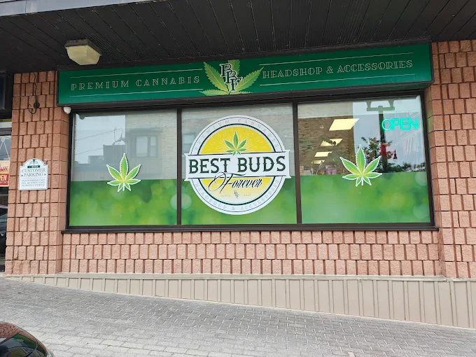 Best Buds Forever store front