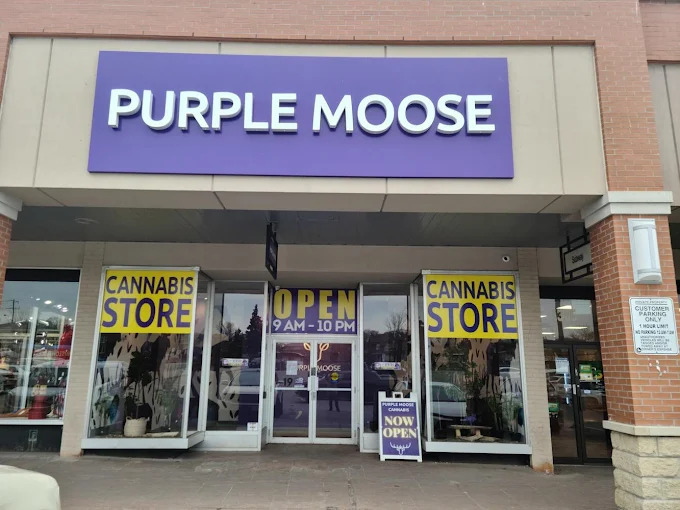PURPLE MOOSE store front