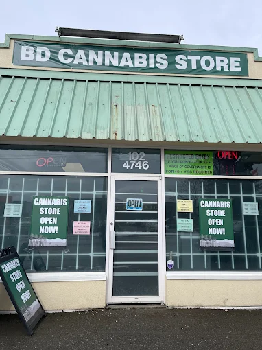 B D CANNABIS STORE store front