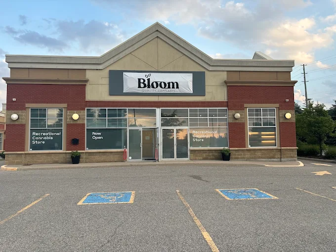 Bloom Quality Cannabis store front