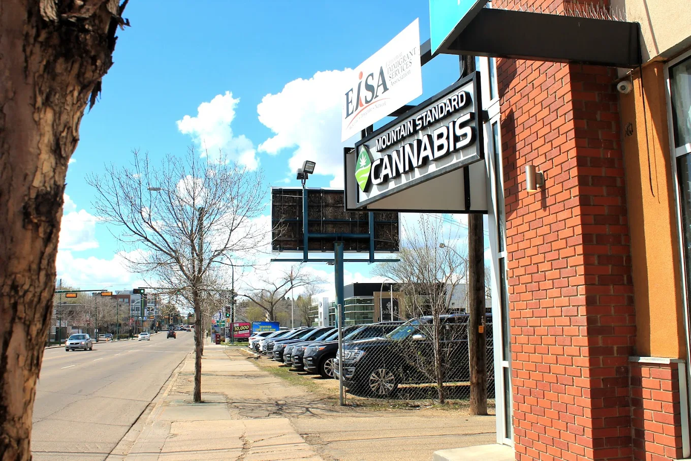 Mountain Standard Cannabis - 107 Avenue store front