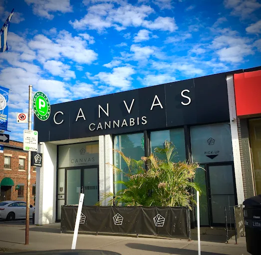 canvas cannabis store front
