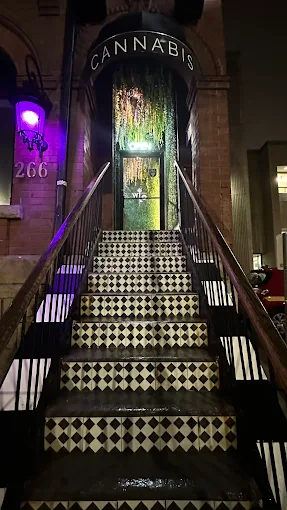 wonderland cannabis store front