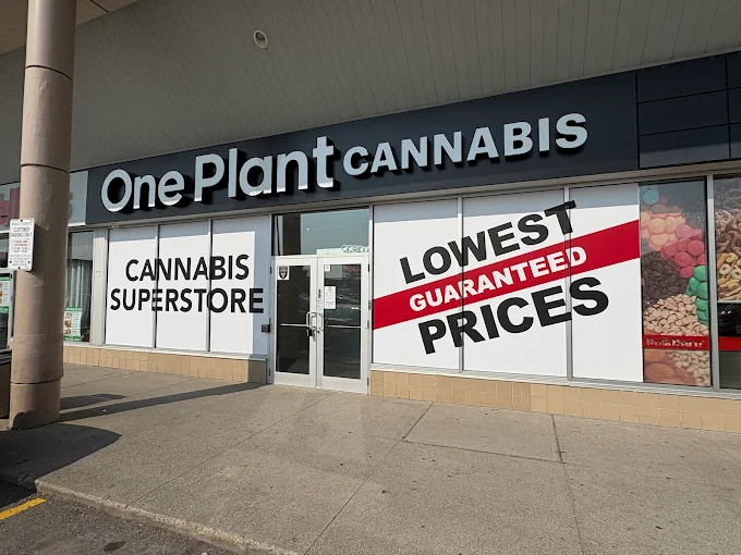 One Plant - Toronto - VP & Danforth store front
