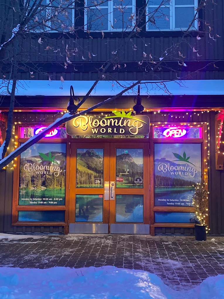 Blooming World Cannabis store front