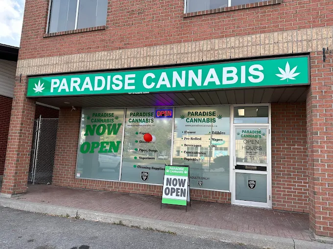 Paradise Cannabis store front