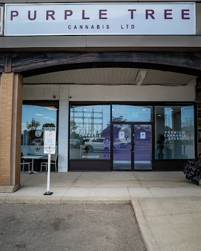 Purple Tree Cannabis store front