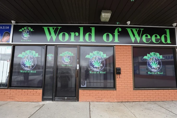 WOW WORLD OF WEED store front