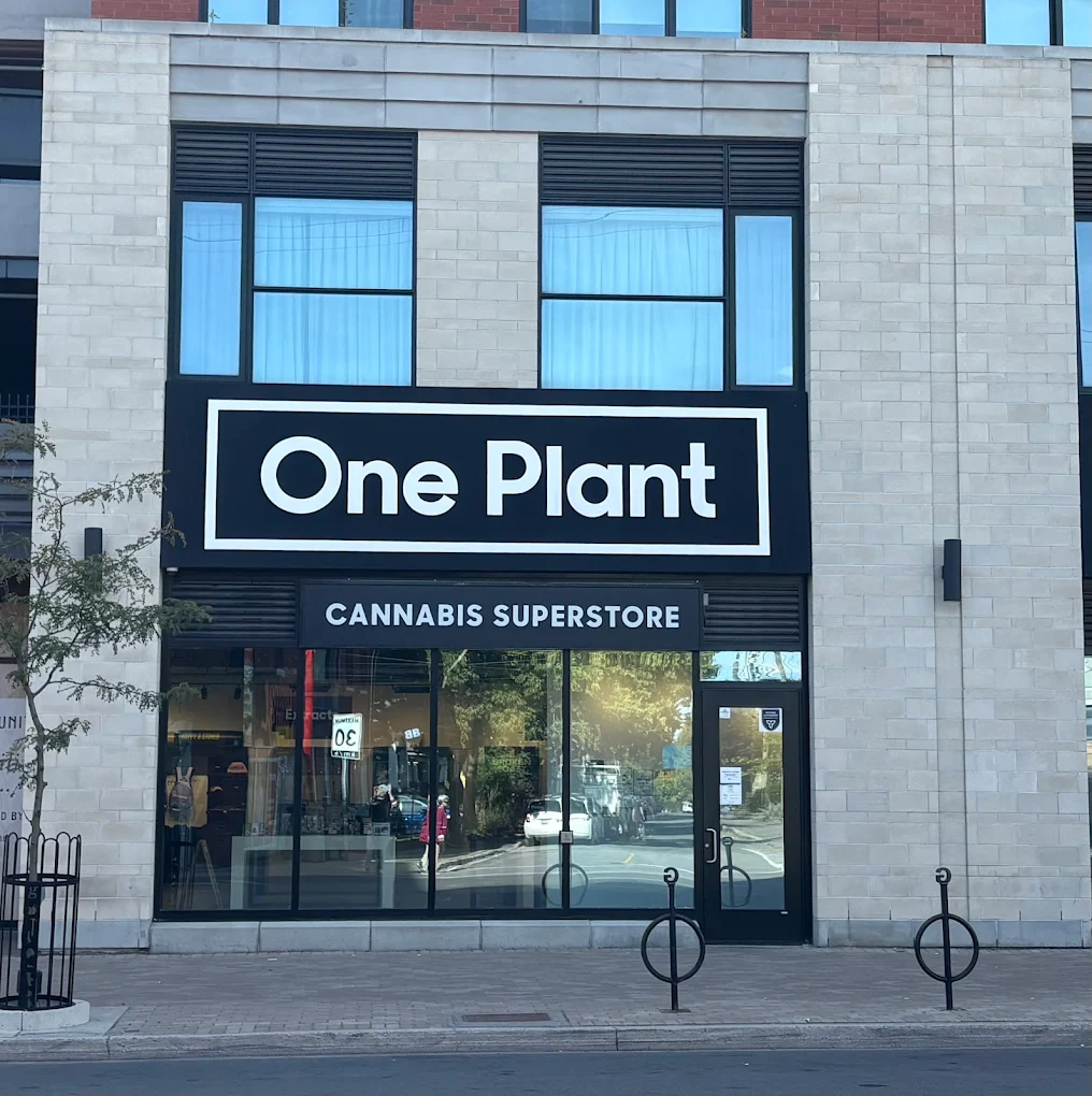 One Plant Glebe store front