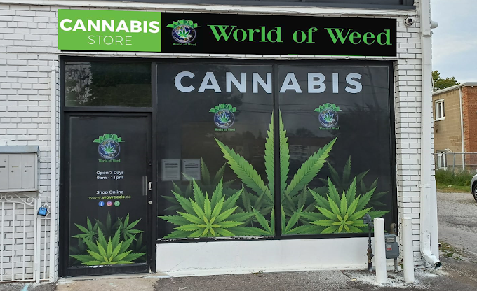 WOW WORLD OF WEED store front