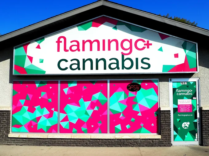 Flamingo + Cannabis & Vape Shop | Brandon | store front