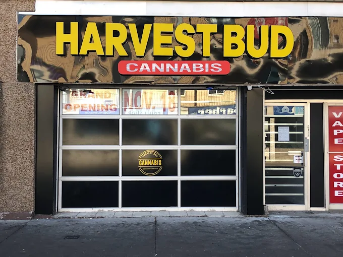 Harvest Bud Cannabis store front