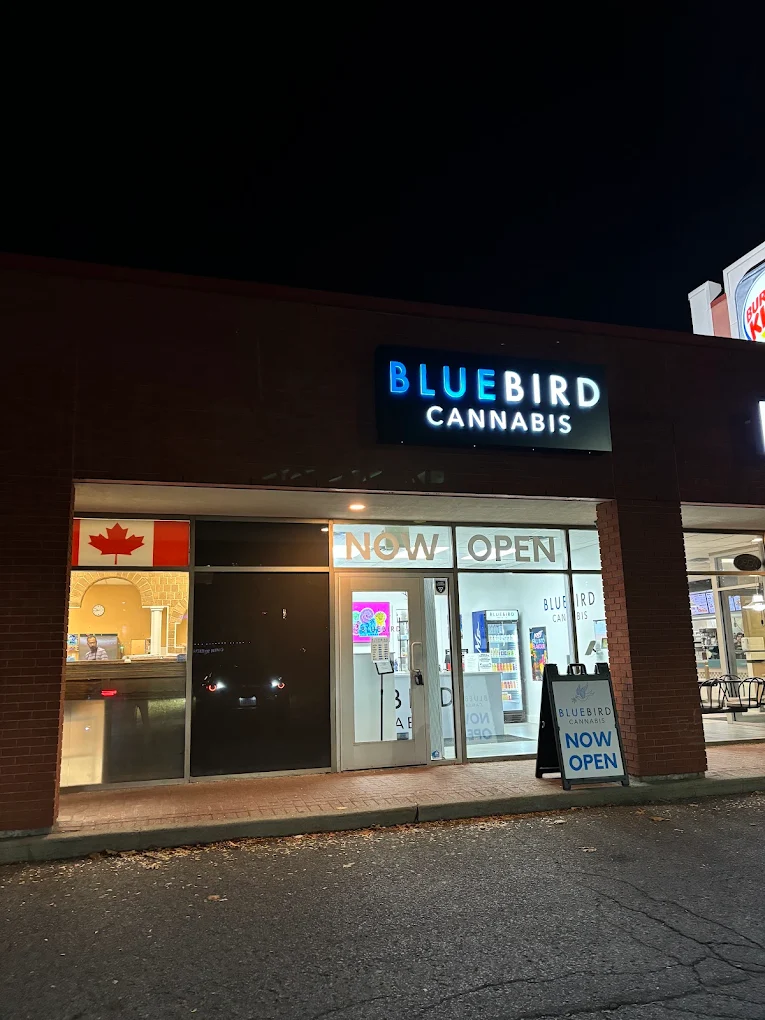 Bluebird Cannabis - Ottowa store front