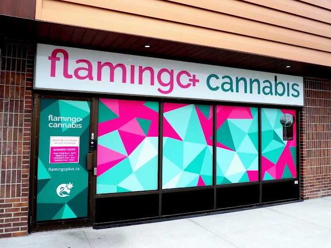 Flamingo+ Cannabis & Vape Shop | Pembina | St.Norbert | store front