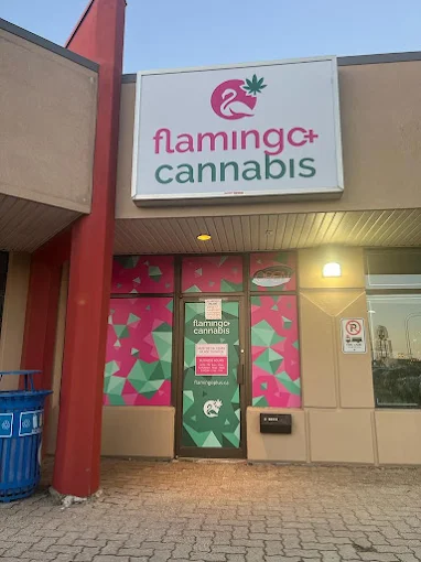 Flamingo + Cannabis & Vape Shop store front