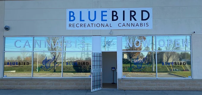 BlueBird Cannabis store front