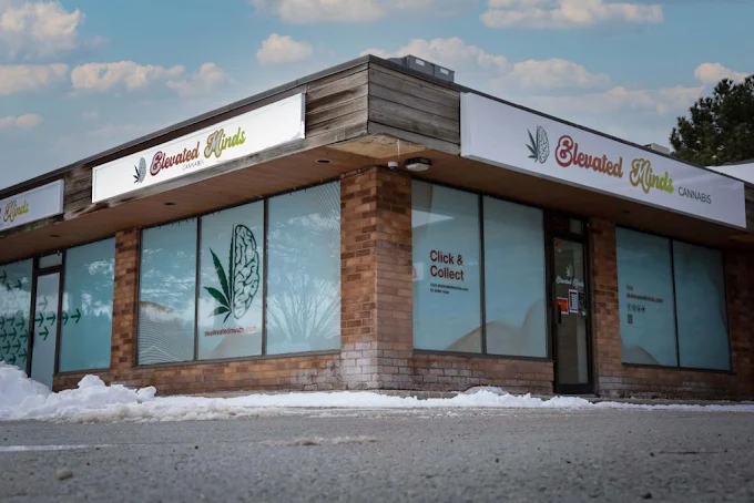 Elevated Minds store front