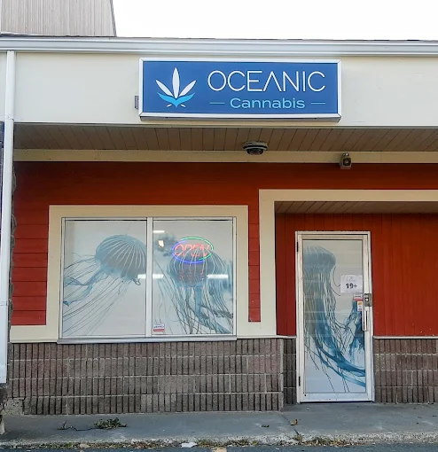 Oceanic Releaf - Torbay Rd, St. John's store front