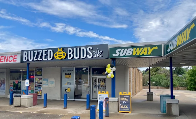 Buzzed Buds store front