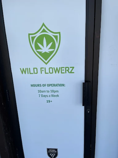Wild Flowerz store front