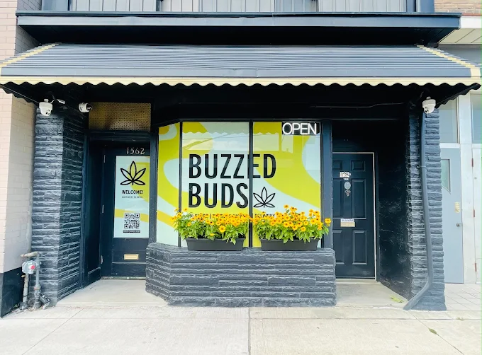 Buzzed Buds Co. - Toronto Beaches store front